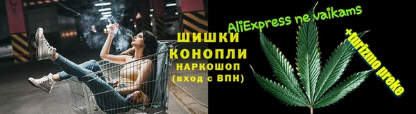 индика Нягань