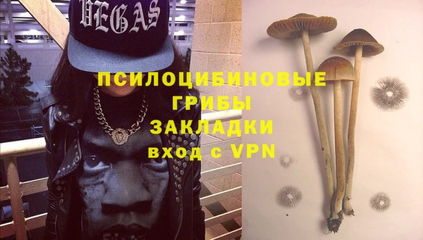 индика Нягань