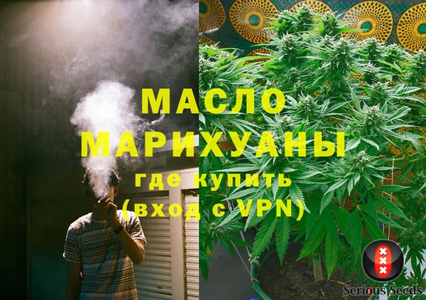индика Нягань